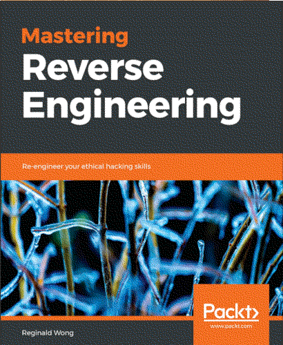 _images/mastering-reverse-engineering.png